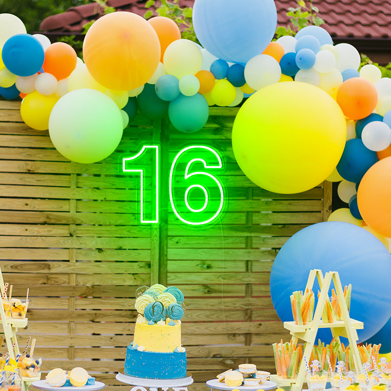 16th birthday neon light