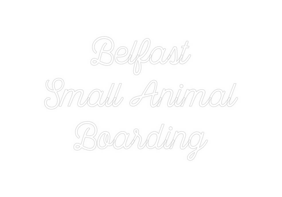 Custom neon sign Belfast 
Sma...
