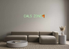 Custom neon sign CALS ZONE🍕
