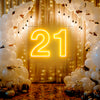 21Birthday neon Signs - neonpartys.co.uk